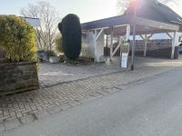 Groß (IMG_9112).jpeg